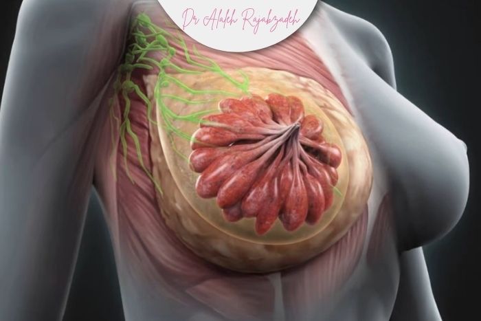 تفاوت بافت سینه در زنان جوان با زنان مسن تفاوت بافت سینه در زنان جوان با زنان مسن