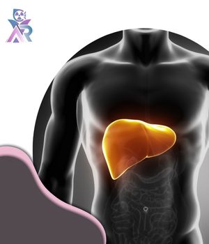 بررسی مزایا و محدودیت ها